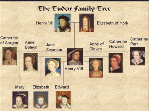 tudor family life|tudor family tree ancestry.